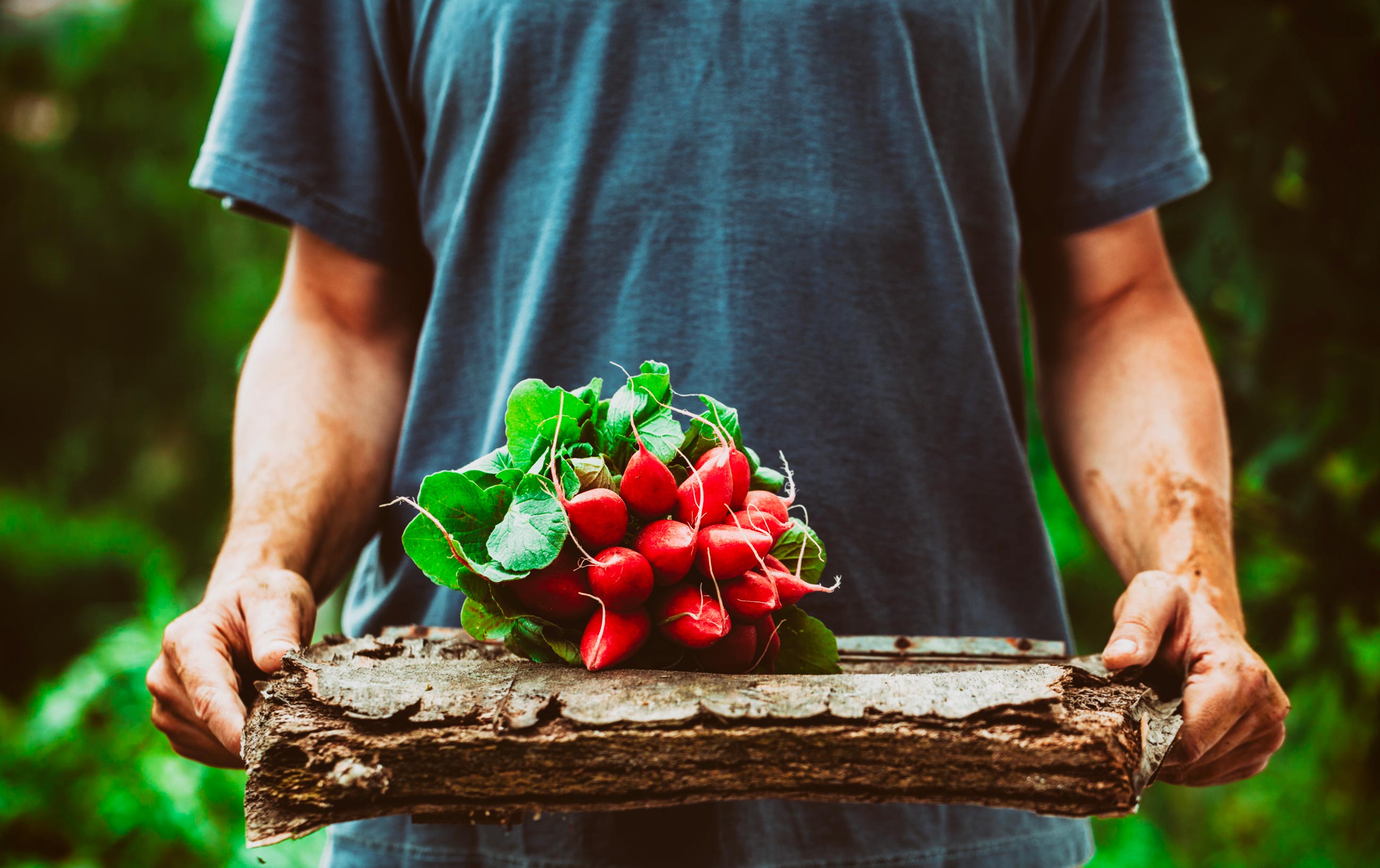 Los frutos de la tierra