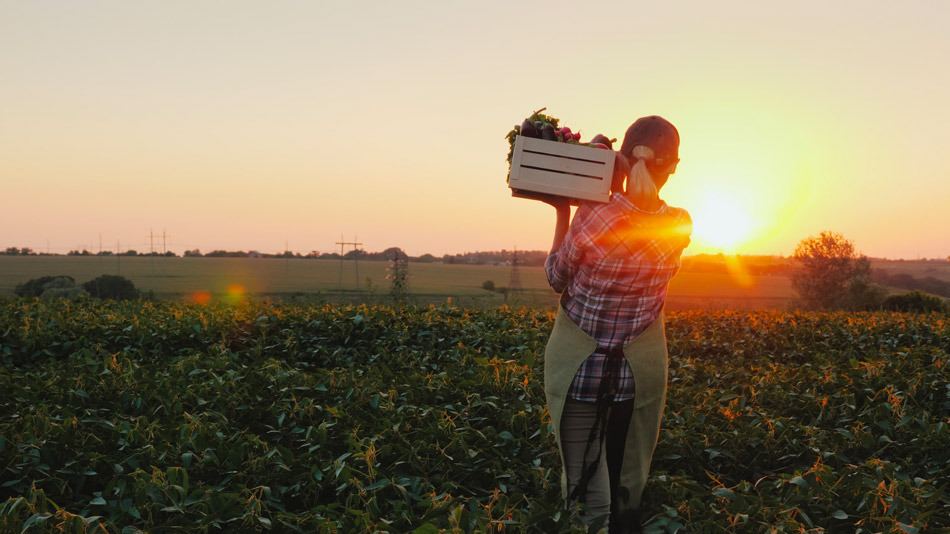 Agricultor con una caja de frutos de la tierra